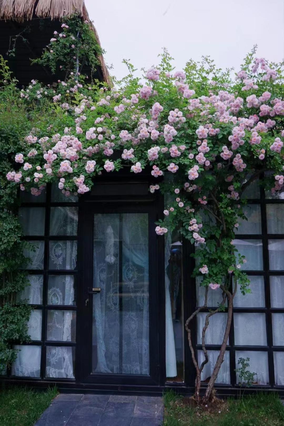 Encounter Garden Great Wall Holiday Guesthouse Beijing Exterior photo